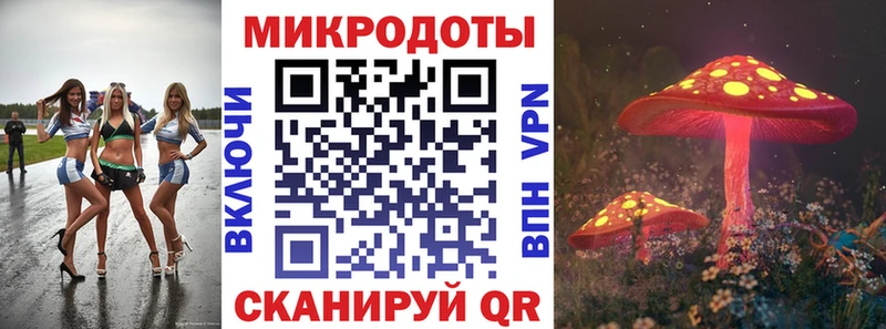 Купить закладки  Ессентукская  Псилоцибиновые грибы MAGIC MUSHROOMS 